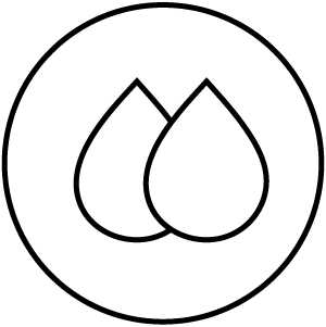 Feature Icon